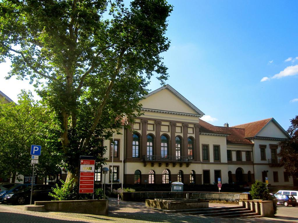 Ferienwohnung Am Ziegelbach Хехинген Экстерьер фото